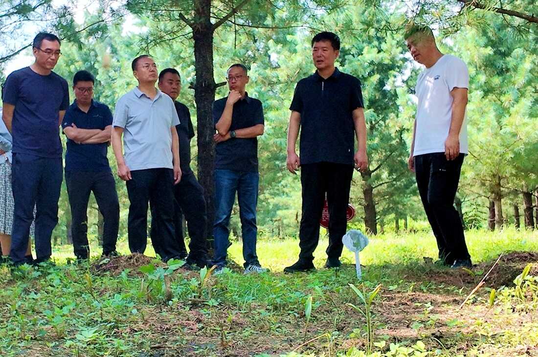微信图片_20260806100419_18_9.png