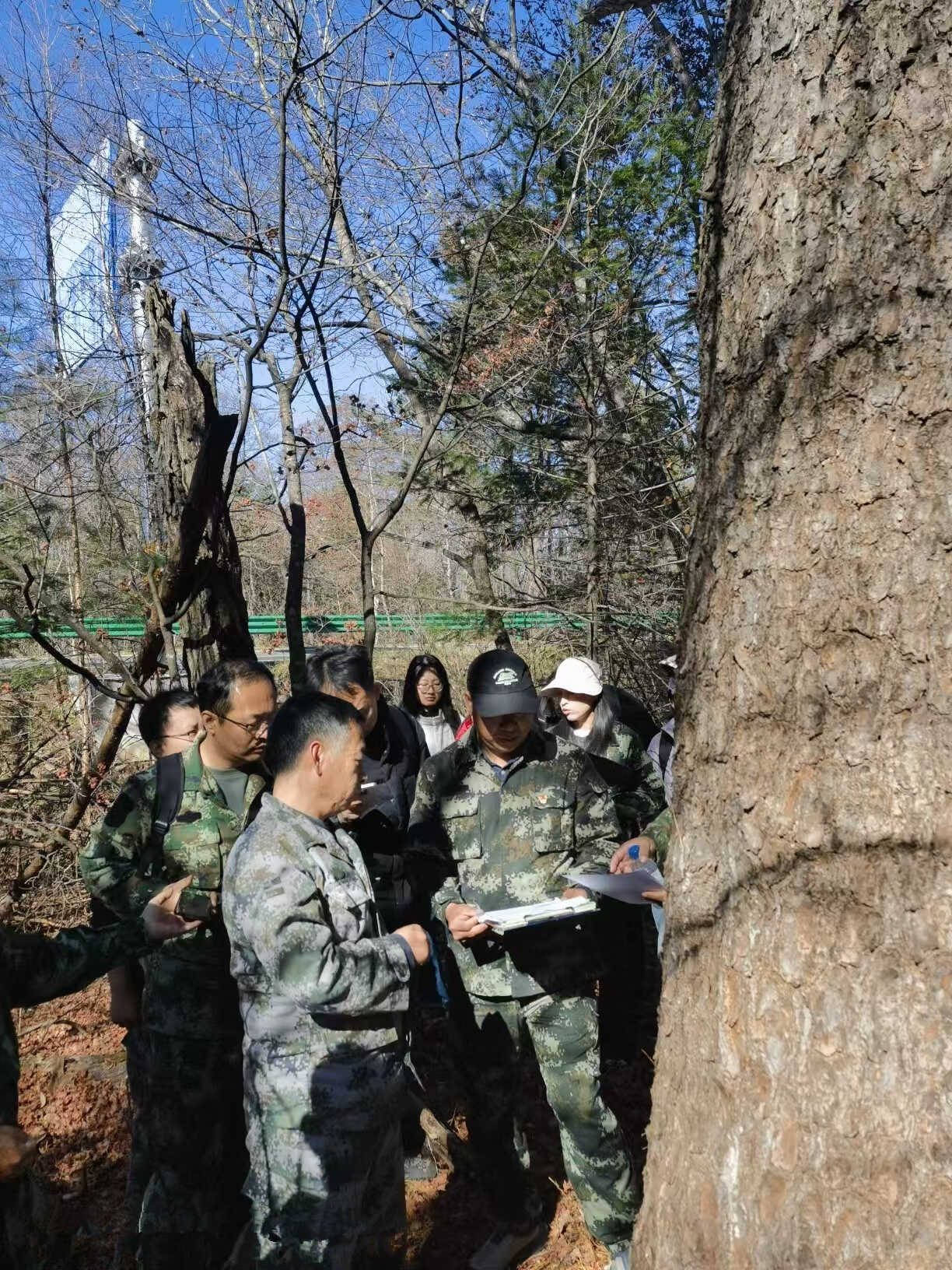 检查组在珲春林业局复核古树群普查成果.jpg